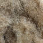 Dehaired Muskox (Quiviut) from The Woolery