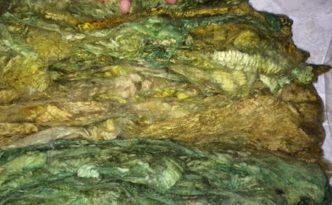 merino wool washed, dyed, and dried in the lock