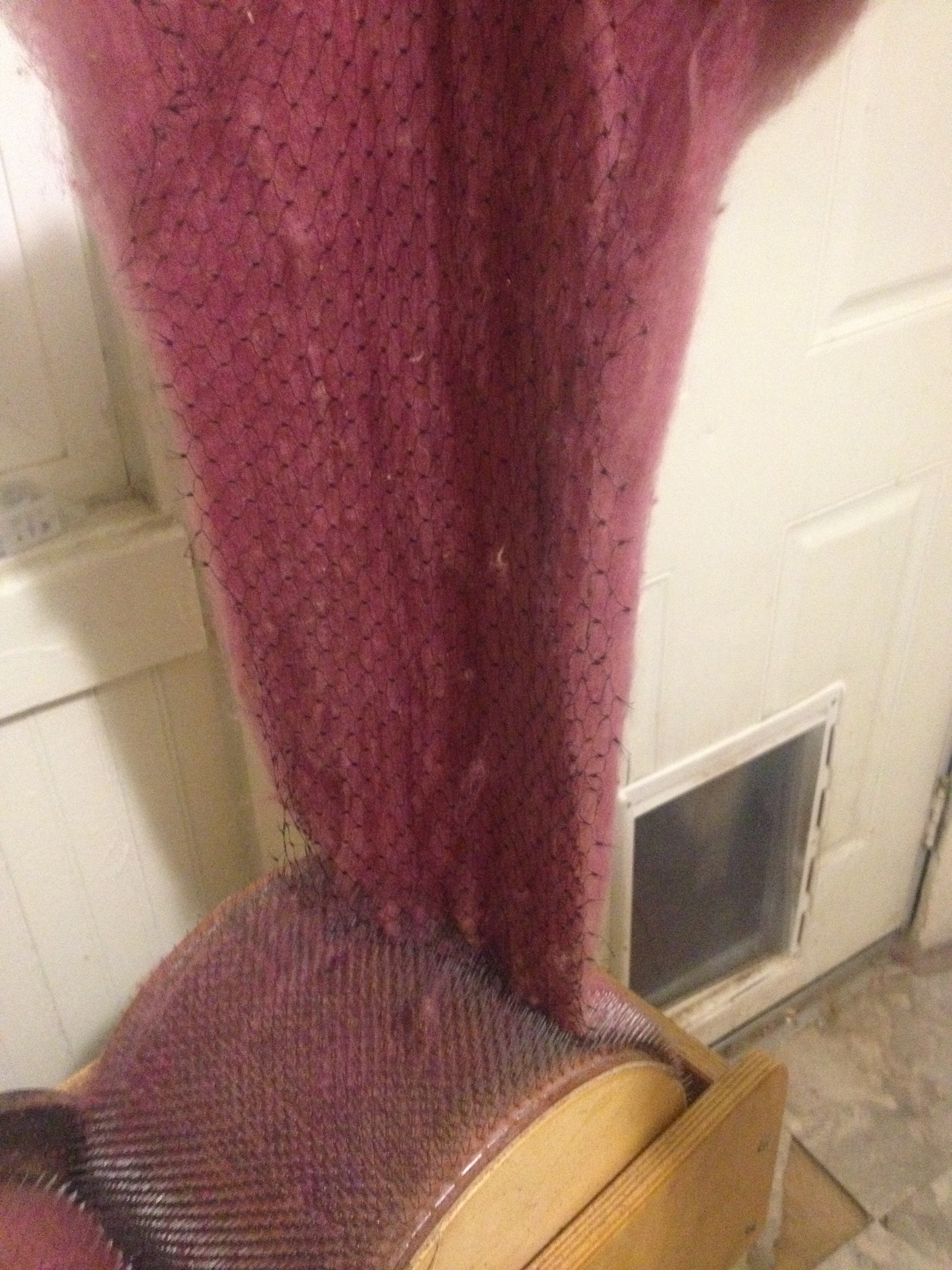 removing the wool batt from the drum carder with a doffing net