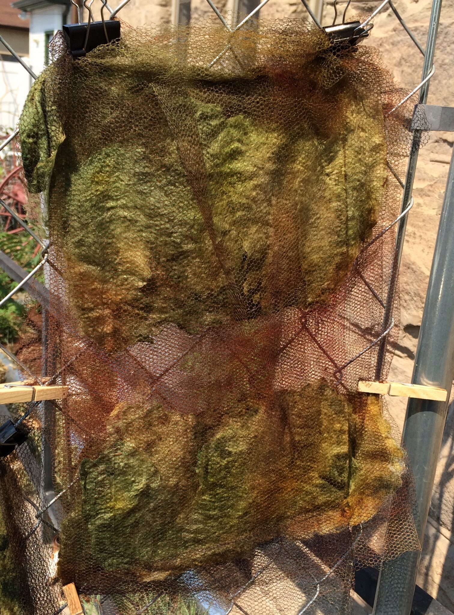 Merino Wool Dyed and Dried