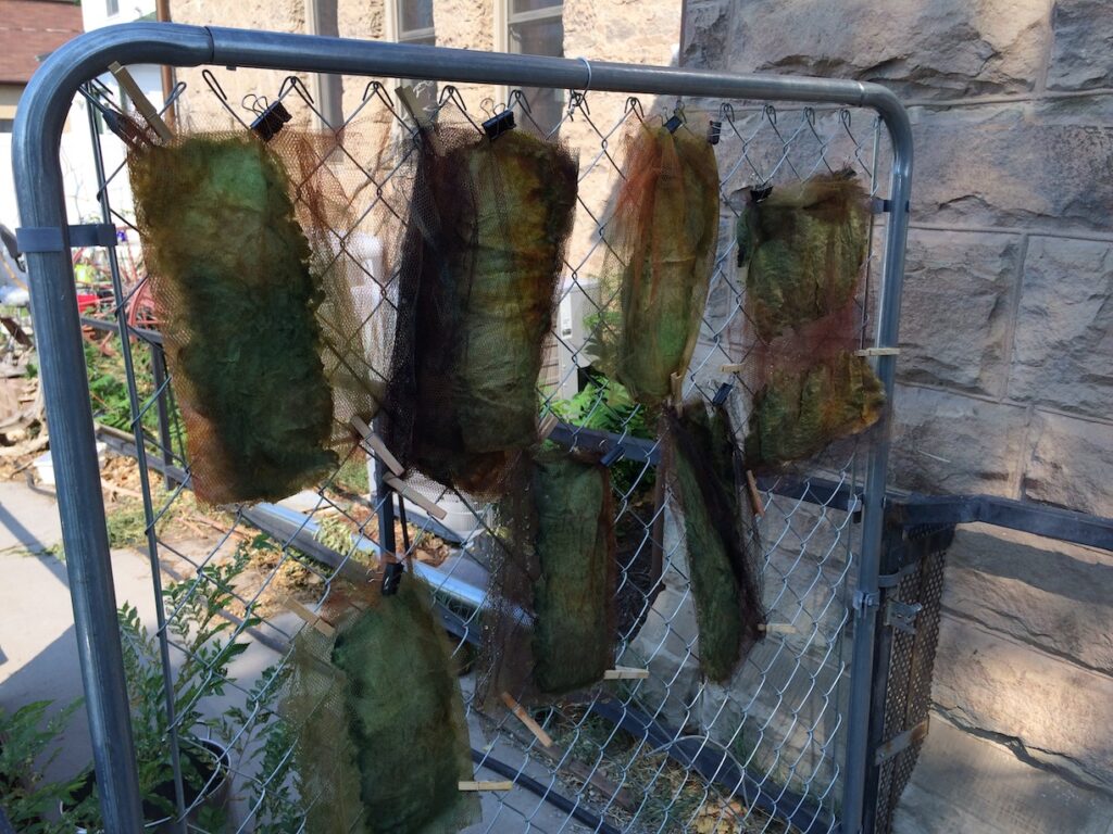 Merino Wool Dyed and Dried