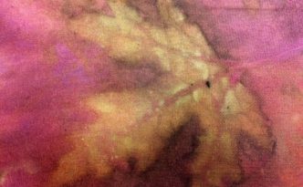 maple leaf image from eco print on silk dyed with cochineal