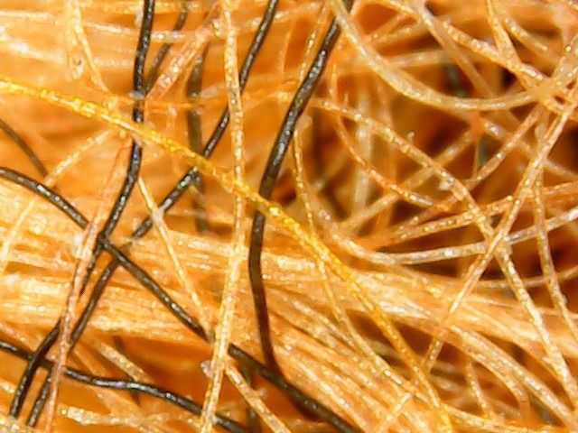 Fibers Under a Microscope