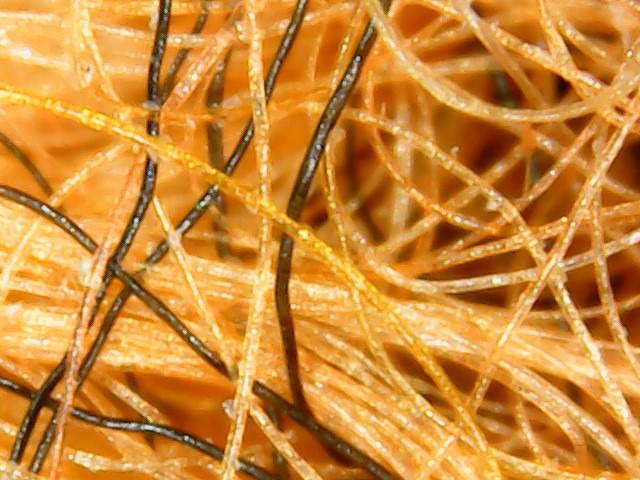 Fibers Under A Microscope Slowyarn Com