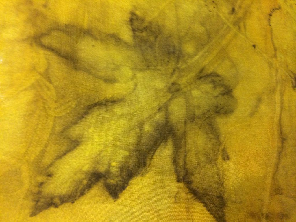 ecoprint maple leaf turmeric dye