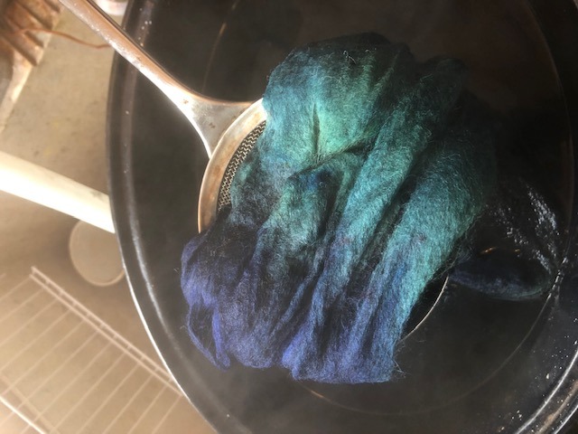 wet wool roving straight out of the dyebath